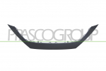 MOLDURA PARAGOLPES DELANTERO-SUPERIOR-IMPRIMADA