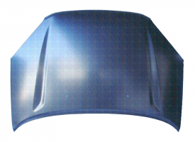 TOYOTA RAV4 01-*CAPO