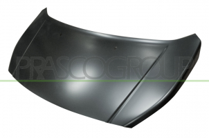 FORD ECOSPORT 2013.10-*CAPO (CHAPA)