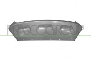 MOLDURA PARAGOLPES DELANTERO-INFERIOR-CENTRAL-PLATA