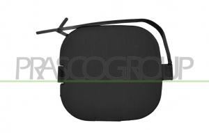 TAPAGANCHO PARAGOLPES TRASERO (PANDA TREKKING - CLIMBING 4X4)