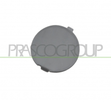 TAPAGANCHO TRASERO DERECHO