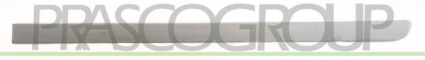 MOLDURA PUERTA TRASERO IZQUIERDA IMPRIMADA MOD. 5 PUERTAS