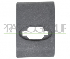 MOLDURA LATERAL NEGRA GRANULADA-CON AGUJERO PARA LUZ DE FRENO-PUERTA TRASERA DERECHA