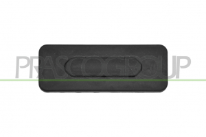 INTERRUPTOR DE DESBLOQUEO PUERTA PORTON