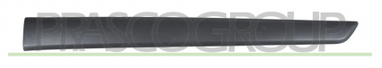 MOLDURA PUERTA TRASERA IZQUIERDA-CON CLIPS-NEGRO/GRANULADO