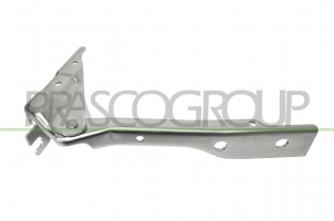 BISAGRA IZQUIERDA CAPO