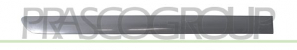 MOLDURA PUERTA TRASERA DERECHA-NEGRO/LISO MOD. 5 PUERTAS