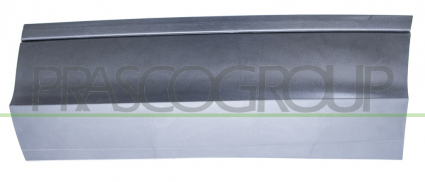 MOLDURA PUERTA TRASERA IZQUIERDA-CON BIADHESIVO-NEGRO/GRANULADO