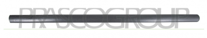 MOLDURA PUERTA DELANTERA IZQUIERDA NEGRO/GRANULADO